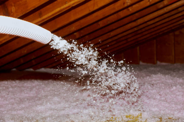 Best Spray Foam Insulation in Center Hill, FL