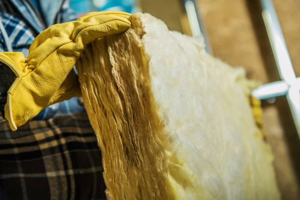 Best Eco-Friendly Insulation in Center Hill, FL