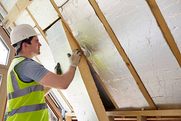 Best Insulation Maintenance and Repair in Center Hill, FL