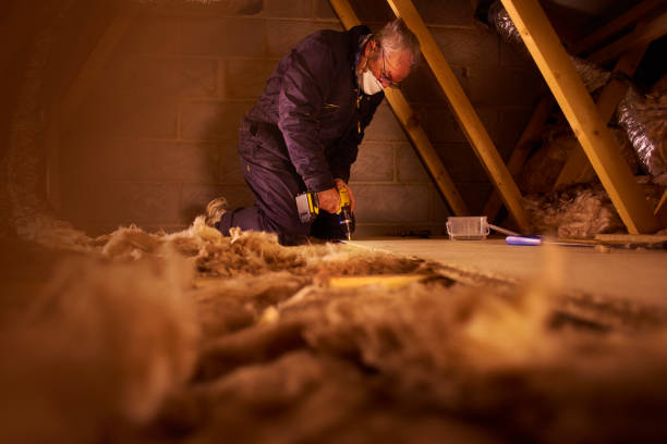 Best Cellulose Insulation in Center Hill, FL